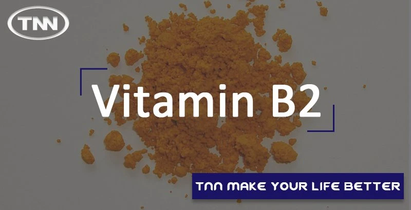 VB12 VB12